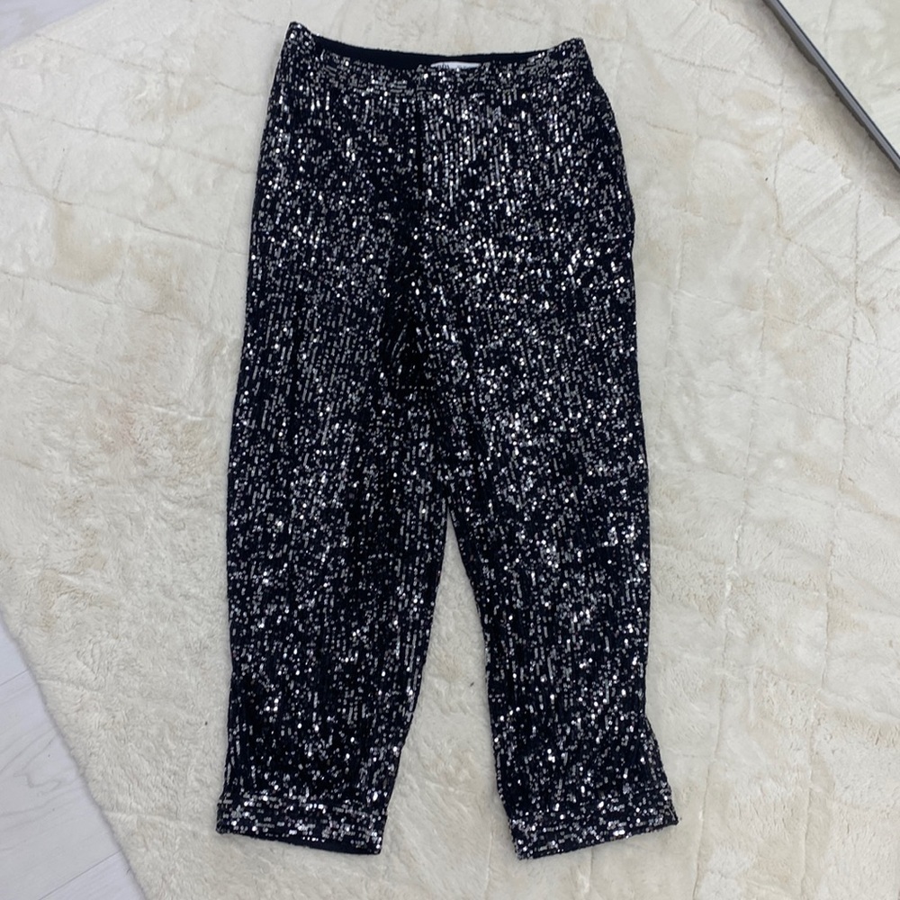 Zara Aladdin sequin pants